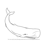 How to Draw Moby Dick