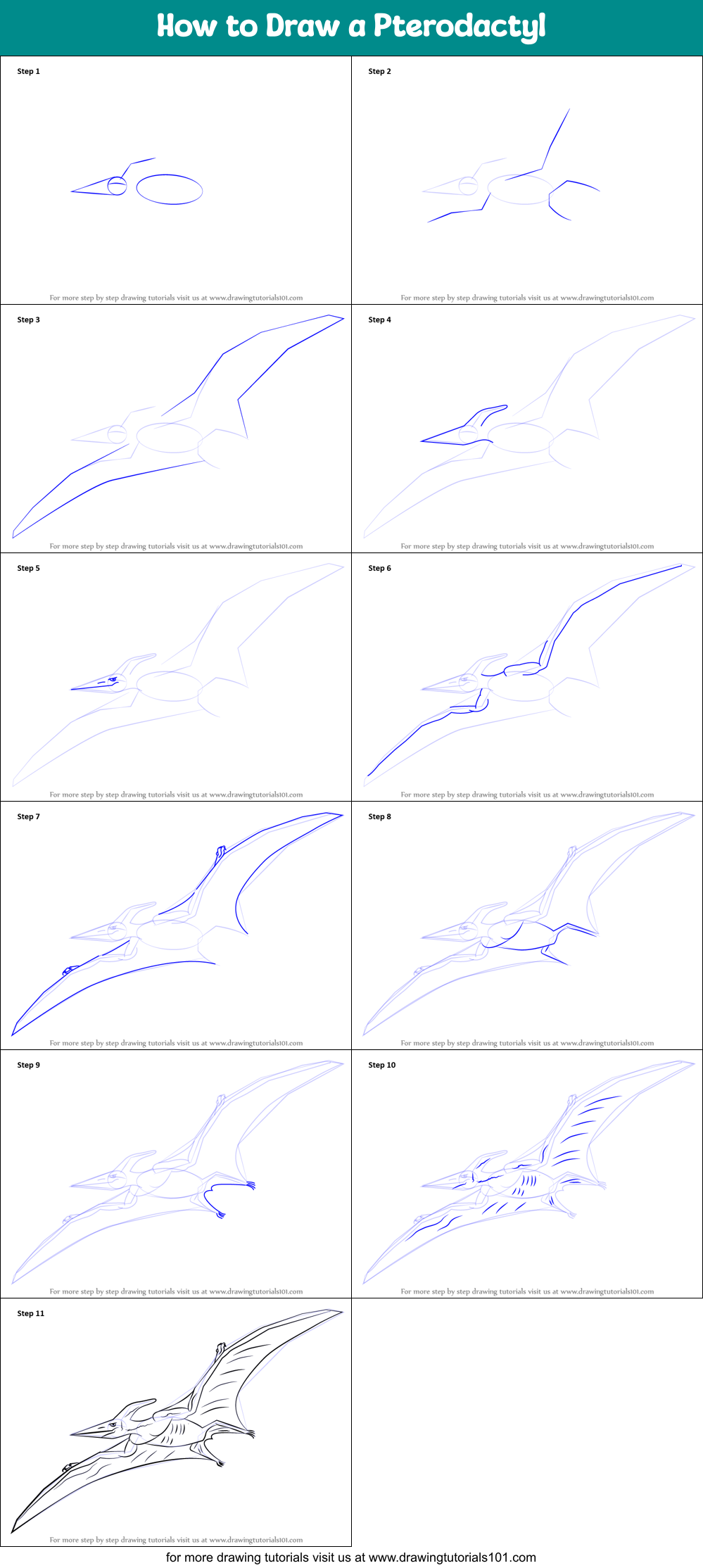 How to Draw a Pterodactyl printable step by step drawing sheet