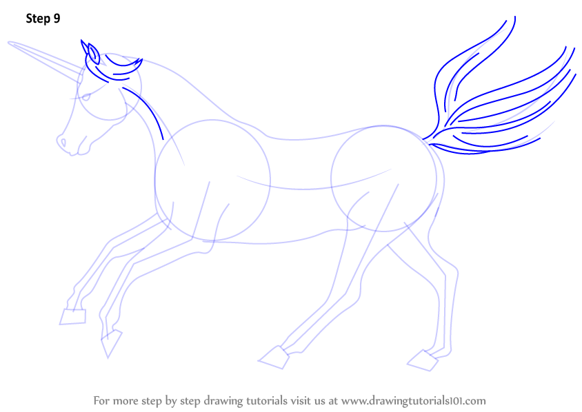 How To Draw A Unicorn Unicorns Step By Step