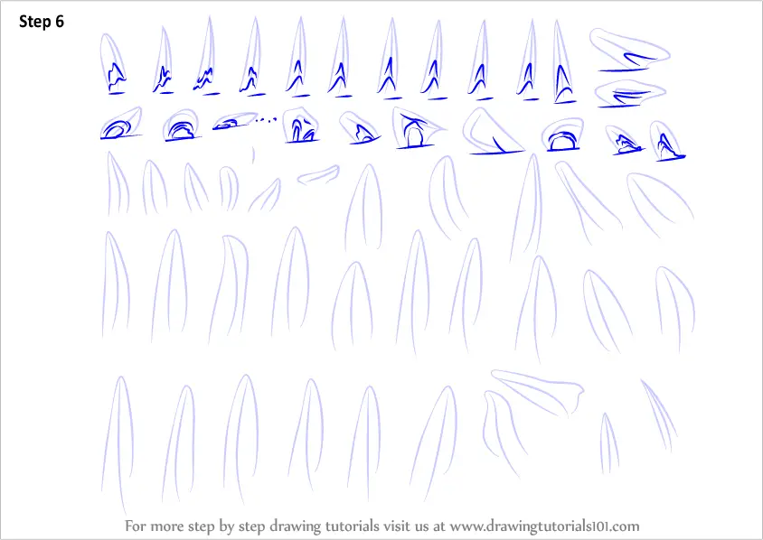 by animal step pictures to how draw step Step Draw How to Objects) by Candle (Everyday Learn Flames