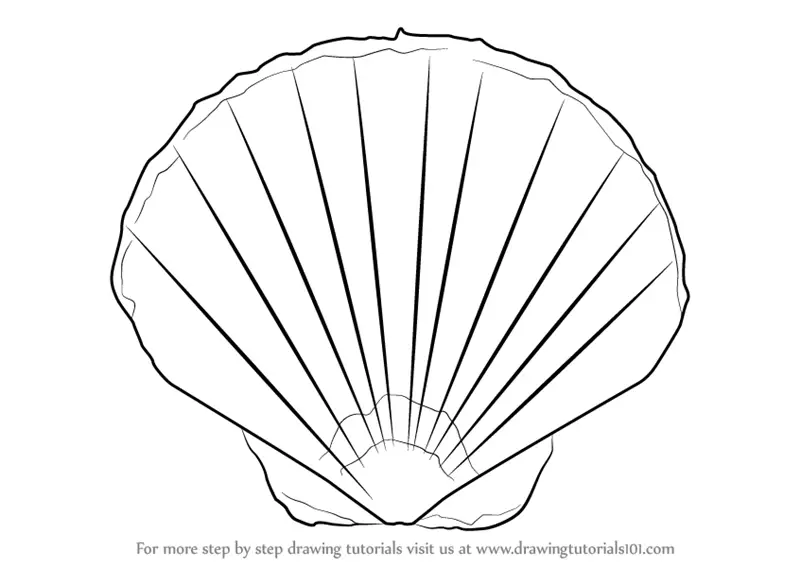 How to Draw a Nautilus Shell - Easy Drawing & Coloring | Nautilus Shell  Drawing & Coloring Watch on Youtube - https://youtu.be/uXrC5ogVRVc 👉 We  are recommending the best drawing tablets. 👇👇 Links