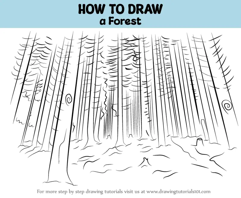 9+ How To Draw Forrest SeonaidFatimah
