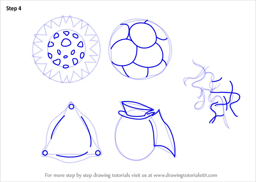 How to Draw Phytoplankton (Plants) Step by Step