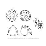How to Draw Phytoplankton