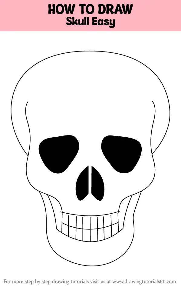 25,100+ Human Skeleton Drawing Stock Photos, Pictures & Royalty-Free Images  - iStock | Skeleton illustration, Human body, Anatomy