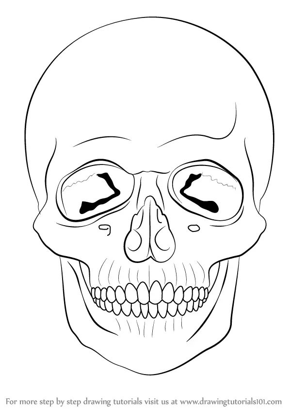 Cartoon Skull Drawing  How To Draw A Cartoon Skull Step By Step