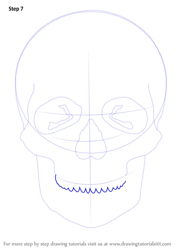 How To Draw A Skull (Skulls) Step By Step | DrawingTutorials101.com