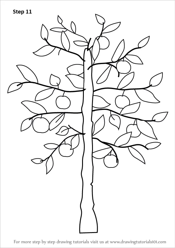 How to Draw an Apple Tree (Trees) Step by Step