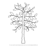How to Draw an Apple Tree
