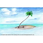 How to Draw a Palm Tree on Island