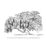 How to Draw a Willow Tree