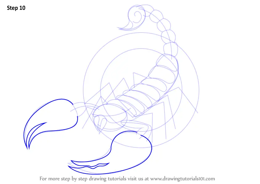 How To Draw Scorpio Zodiac Sign Zodiac Signs Step By Step Drawingtutorials Com