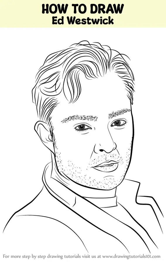 How to Draw Ed Westwick (Celebrities) Step by Step ...