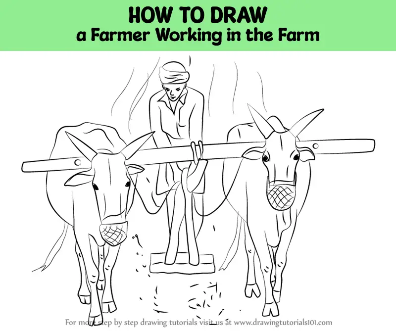 Farmer Drawing by Davis KM - Fine Art America