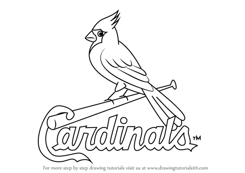 Learn How to Draw St. Louis Cardinals Logo (MLB) Step by Step : Drawing  Tutorials
