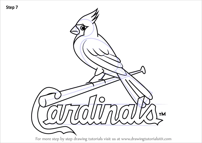 Learn How to Draw St. Louis Cardinals Logo (MLB) Step by Step : Drawing  Tutorials