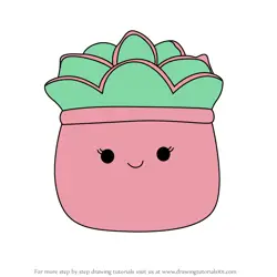 How to Draw Afiyah the Succulent from Squishmallows