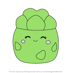 How to Draw Anara the Artichoke from Squishmallows