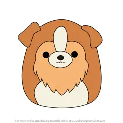How to Draw Andres the Sheltie from Squishmallows