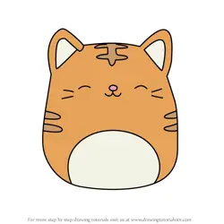 How to Draw Nathan the Tabby Cat from Squishmallows