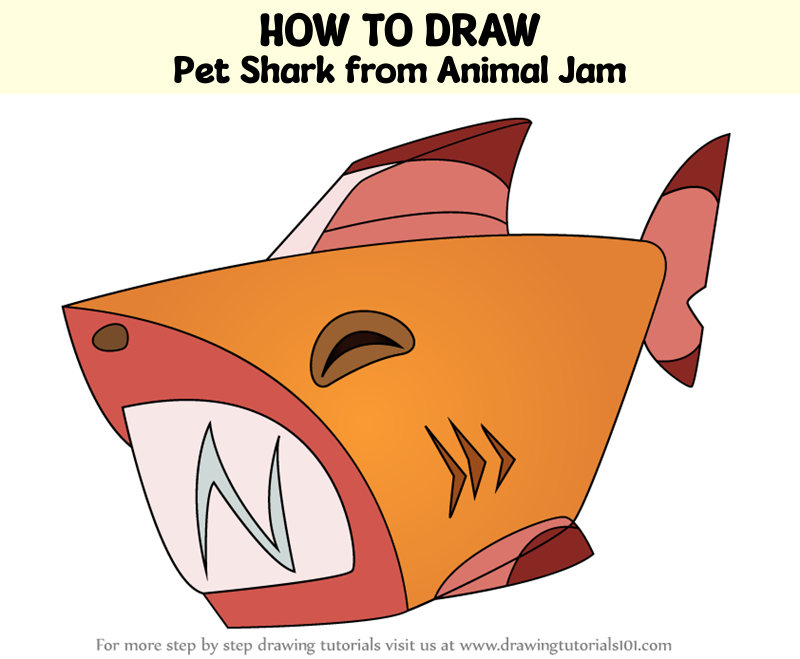 How to Draw Pet Shark from Animal Jam (Animal Jam) Step by Step 