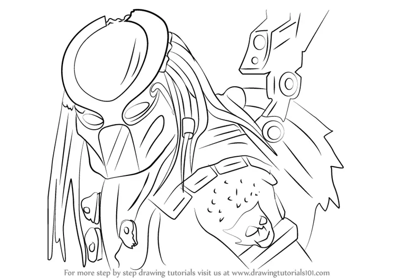 predator drawing tutorial